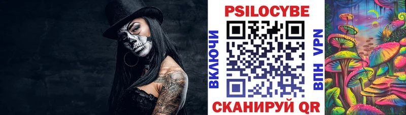 Галлюциногенные грибы Psilocybe  Владивосток 