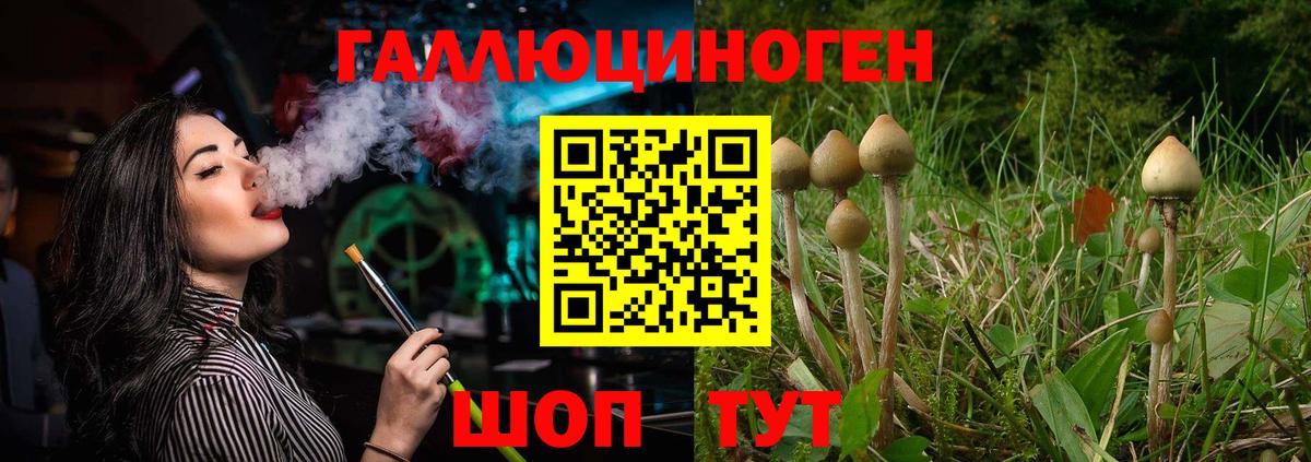 Галлюциногенные грибы MAGIC MUSHROOMS Владивосток